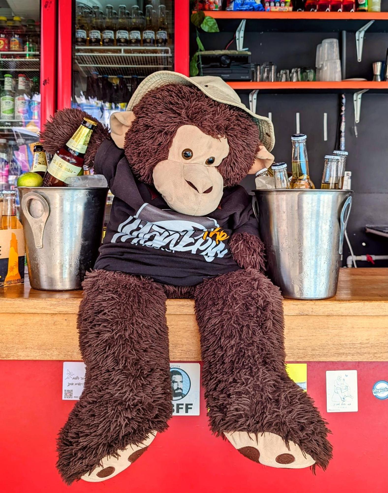 Hostel Trip Monkey 산힐 외부 사진